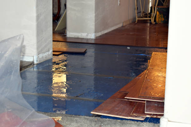 Professional Water Damage technician working in Hamilton, MI