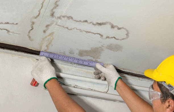 Reliable Water Damage contractor in Hamilton, MI by Water Damage Irwin